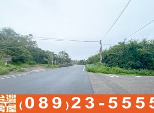 海農243_台東成功三仙台看海農地