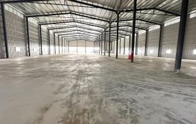🍎 大園全新鋼構廠房 ( FT04349 )