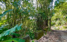 梅山農地09-017 052337228