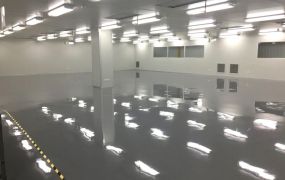 🍎幼獅合法潔淨室 / 可廠登 ( FT04386 )