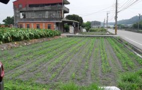 假日農夫.優質農地/正大馬路/市公車路線/近麗寶樂園