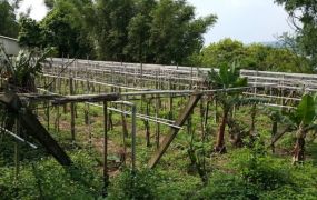 假日農夫.優質農地.視野遼闊.風景優美 / 適合休閒.投資