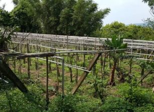 假日農夫.優質農地.視野遼闊.風景優美 / 適合休閒.投資
