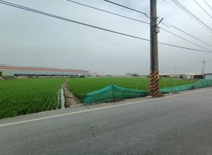 新園臨路優質農地
