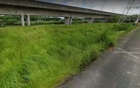 大社和平都內"多塊臨路"飛速增值農地(已成交一塊)