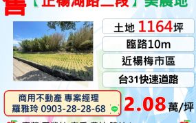 楊梅【正楊湖路二段】10米路邊近市區便宜美農地