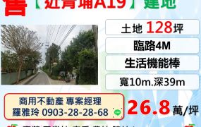 中壢【近青埔A19】雙面臨路生活機能棒方正建地