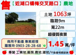 【近湖口楊梅交叉路口】超優質夜景超大地坪農地