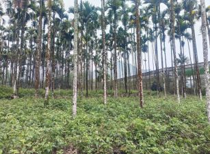 小半天中湖段農牧用地台中買屋賣房,土地王劉志忠