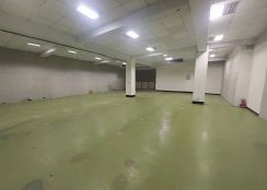 林口工二工業區漂亮RC廠房