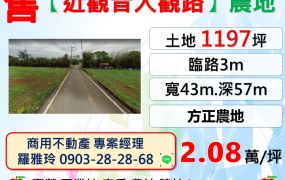 【近觀音大觀路】臨3米路大面寬方正農地(位於重劃區周邊)