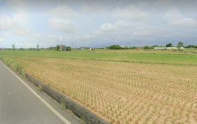 新屋大坡農地