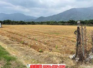 三地門山湖觀美農地(2塊任選)