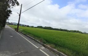 新屋方正農地 >低單價<