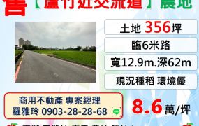 【蘆竹近交流道】臨六米路現況種稻環境優一般農地