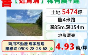 【近青埔A19】稀有大面積農+建地(土地皆有臨路 地形漂亮)