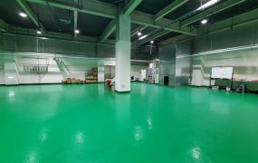 楊梅新穎挑高無塵室科技廠房