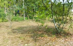 中埔農地-B 09-073 052337228