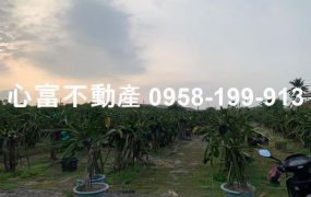 岡山清水段最後一塊建地(超俗)