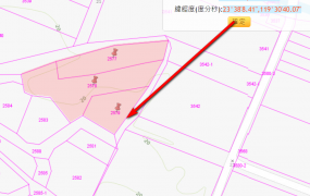 西嶼鄉竹灣村一般農地、土地完整，旁有國有地