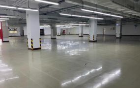 平鎮備碼頭高科技大坪數廠房40
