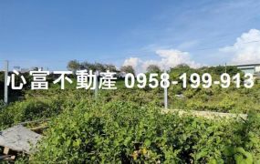 湖內小坪數乙工業地