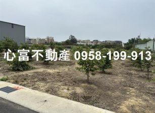 湖內方正美都內農地