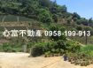 大樹龍目國小渡假樂園
