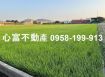 阿蓮土壤肥沃農地風景佳