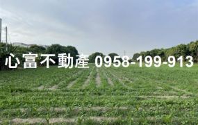 永安雙面路漂亮農地