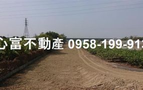 岡山大埔農地7米路漂亮