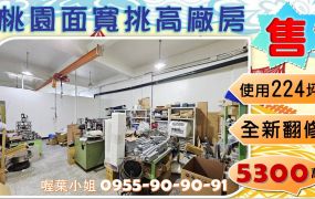 ✌喔葉廠房✌大面寬挑高RC廠房~可廠登