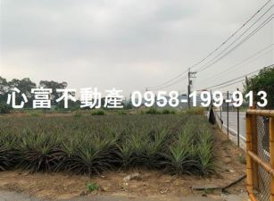仁武義大二路千坪農地