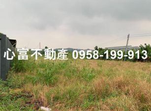 仁武義大二路大面寬農地