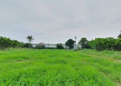 臨高鐵沙崙便宜農地