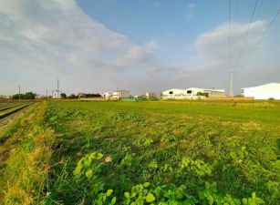 新市大社近南科方正農地