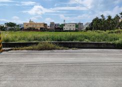 東港超值鄉村建地