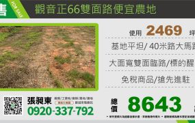 觀音正66雙面路便宜農地