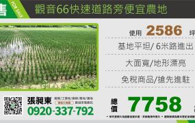 觀音快速路旁便宜農地