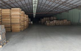 租楊梅合法挑高鋼構倉庫廠房