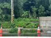 東義路正路邊大面寬農地08-016