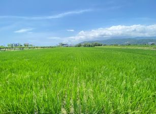 梅花湖旁休閒農業區一甲地