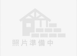 大林縱貫路旁農地25-012 052337228