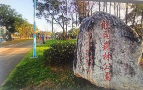 龍慈路買得起且輕鬆