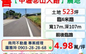 【中壢山大路】近青埔捷運a19站6米前後臨路美田地