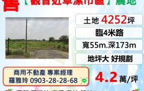 觀音【近草漯市區】臨路4米地坪大好規劃農地