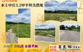 水上中庄3.2甲平坦美農地-嘉義建地農地 台灣阿魯米