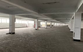觀音工業區RC廠房出租