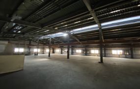 觀音工業區合法天車廠房58