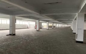 觀音工業區RC廠房出租22